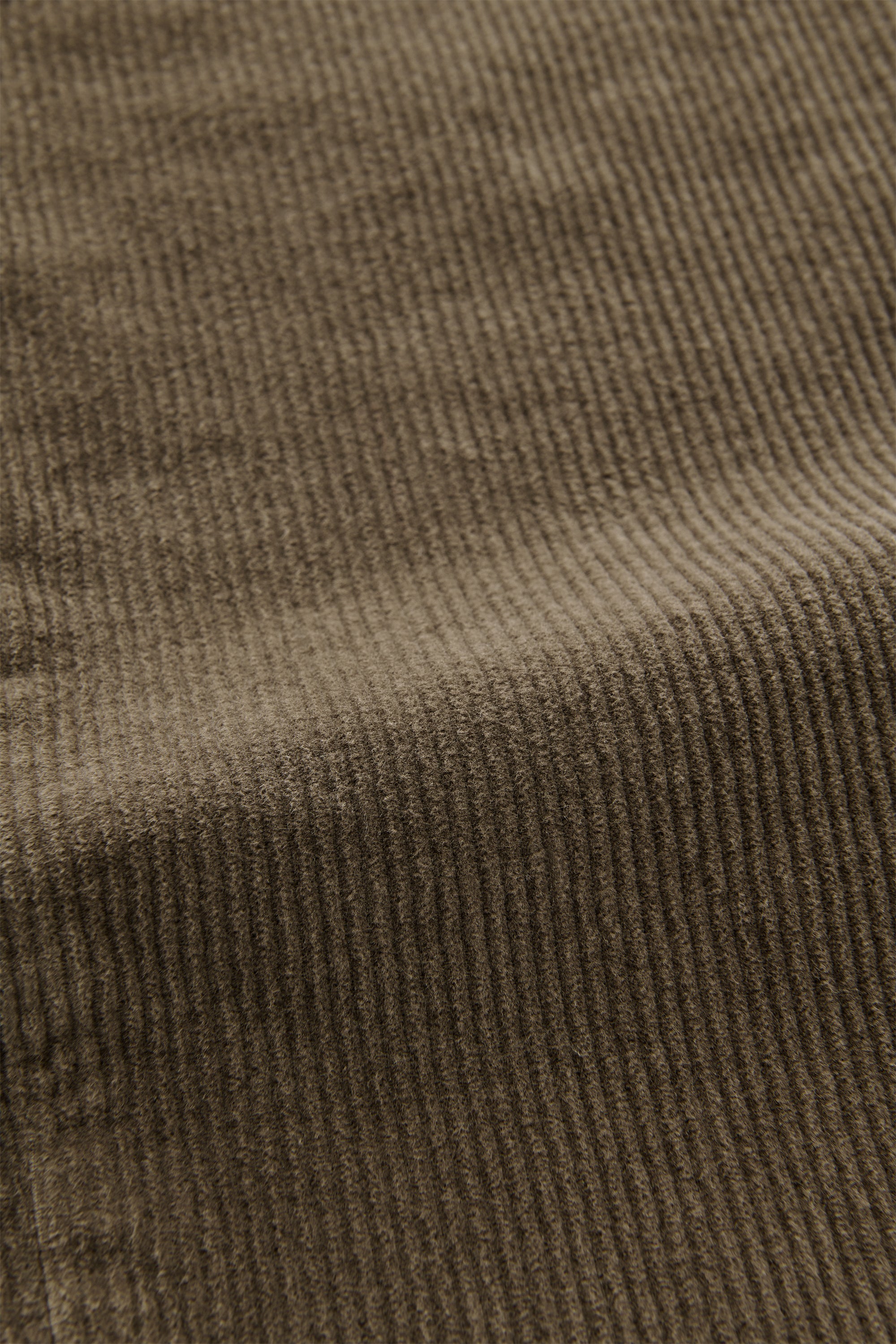 PMCLOTTVL5_10_03.jpg
